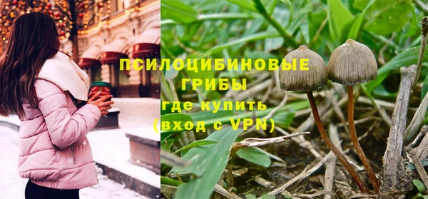 2c-b Алексин