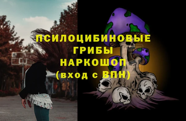 2c-b Алзамай