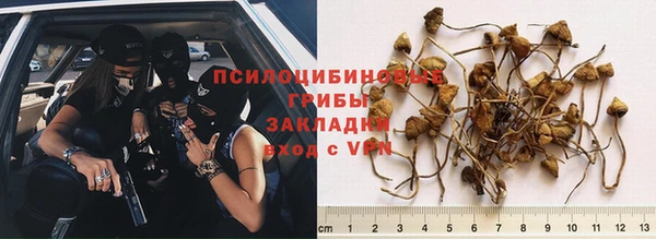 бошки Алексеевка