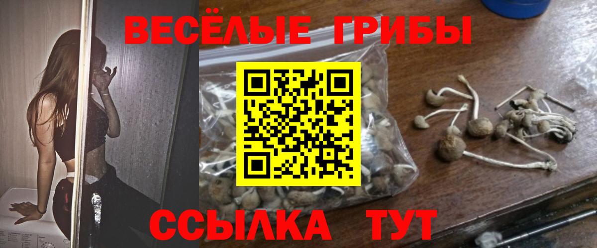 Галлюциногенные грибы MAGIC MUSHROOMS  Вход с VPN  Апатиты 